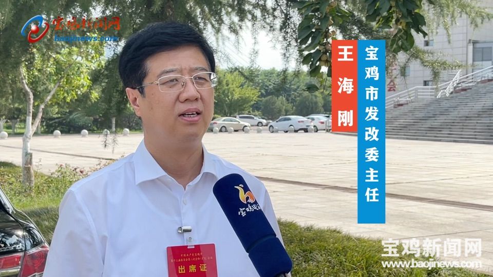 聚焦全委会宝鸡市发改委主任王海刚狠抓高质量项目助推高质量发展