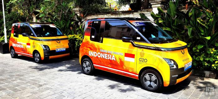 △巴厘岛峰会的新能源会议用车。(总台央视记者刘琦拍摄)