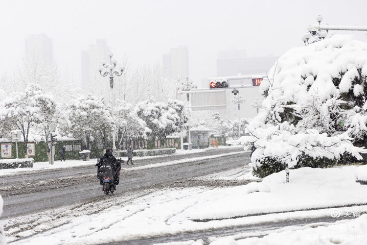 2024年元月21日宝鸡大雪美景欣赏