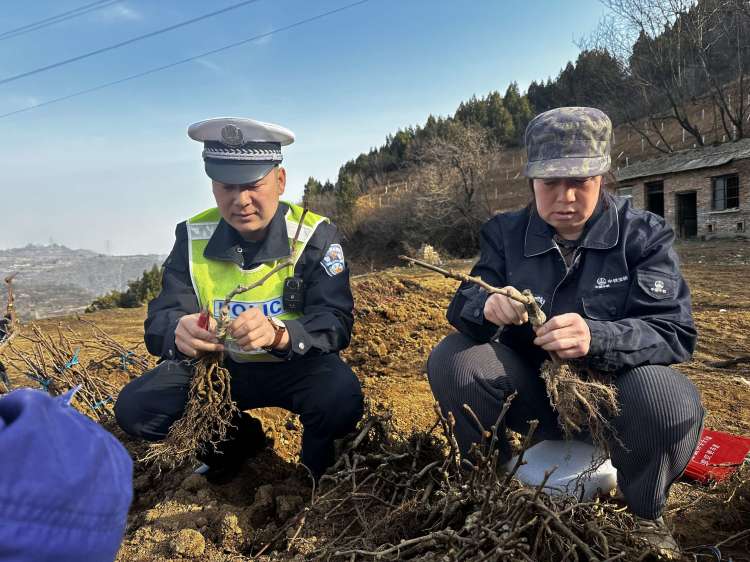 簡篇-渭濱交警植樹節走進竹園溝村共植綠色“平安樹”