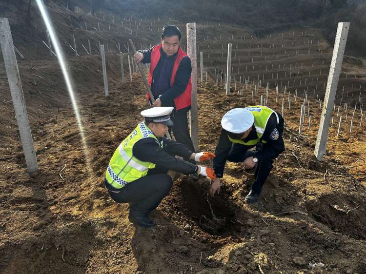 簡篇-渭濱交警植樹節走進竹園溝村共植綠色“平安樹”