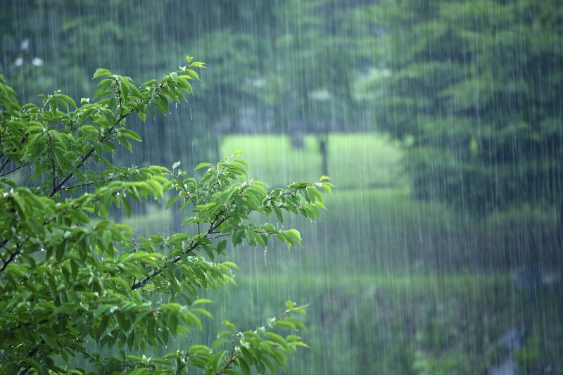 下雨.jpg