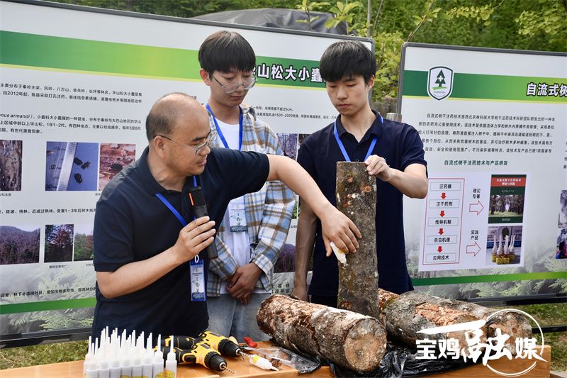 陕西省重大林业有害生物联防联治会议在宝鸡召开3.jpg