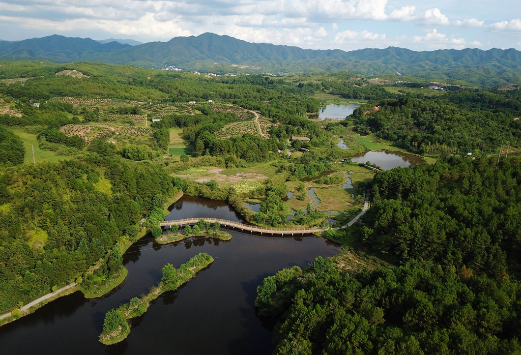 福建省龍巖市長汀縣的長汀汀江國家濕地公園景色（2020年7月28日攝，無人機照片）。新華社記者 魏培全 攝