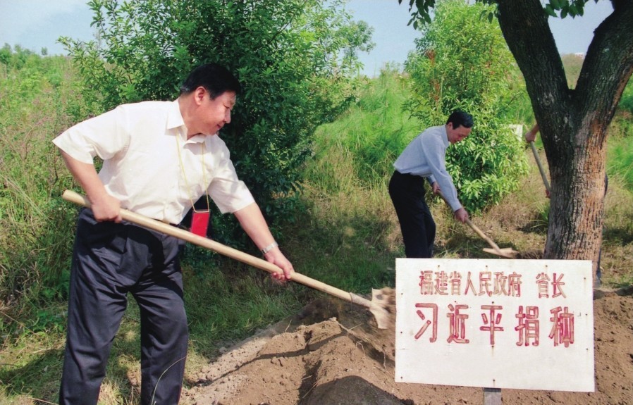 2001年10月，習近平在龍巖市長汀縣調研水土流失治理工作，在河田世紀生態(tài)園為樹培土。圖源：《習近平在福建（下）》