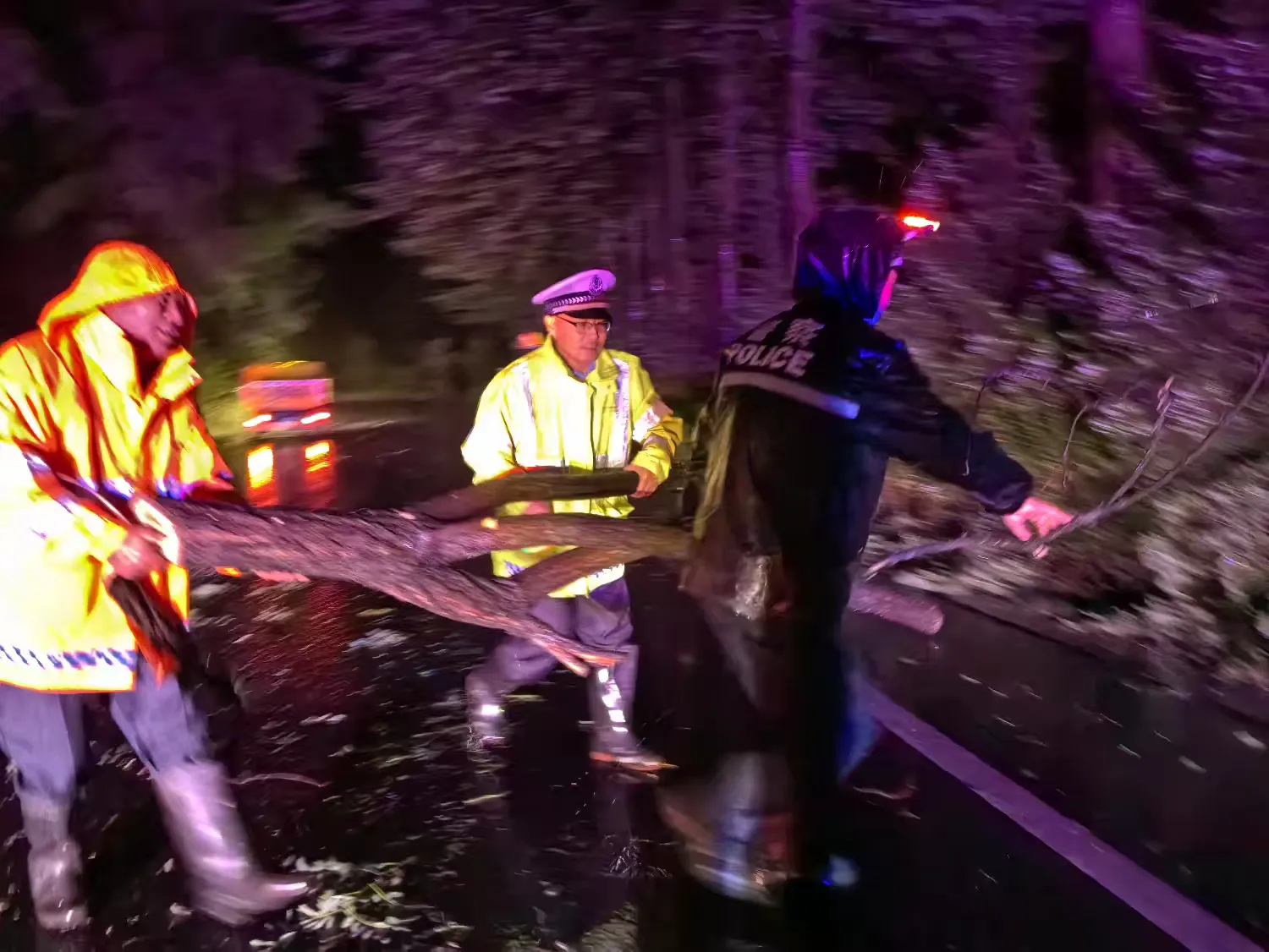 簡篇-那些暴雨中,最讓人安心的“航標燈”