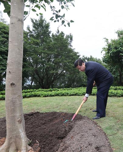 2012年12月7日至11日，習(xí)近平在廣東省考察工作。這是8日上午，習(xí)近平在深圳蓮花山公園種下一棵高山榕樹。新華社記者 蘭紅光 攝