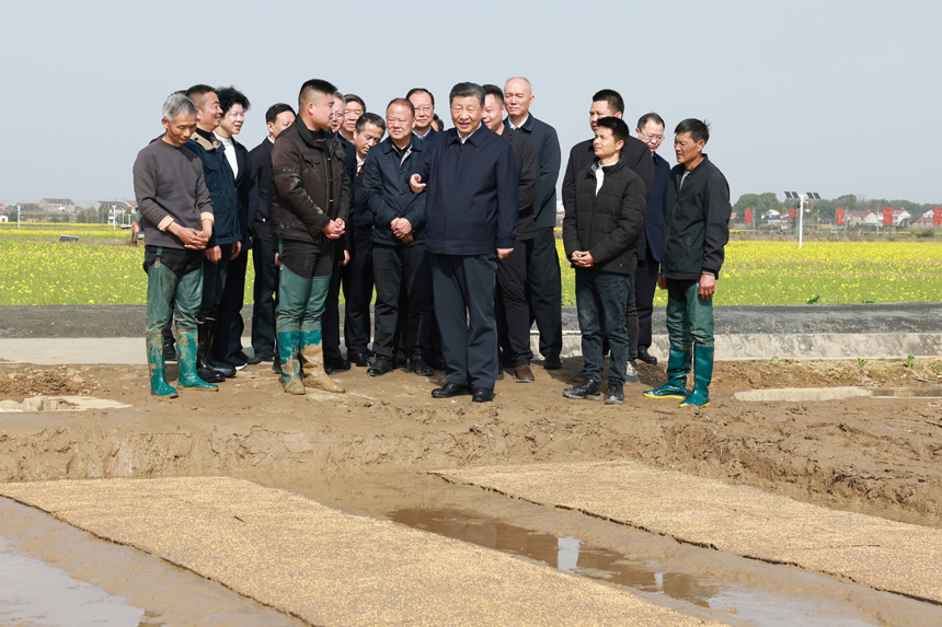 2024年3月18日至21日，中共中央總書(shū)記、國(guó)家主席、中央軍委主席習(xí)近平在湖南考察。這是19日下午，習(xí)近平在常德市鼎城區(qū)謝家鋪鎮(zhèn)港中坪村走進(jìn)田間，察看秧苗培育和春耕備耕進(jìn)展。新華社記者 王曄 攝