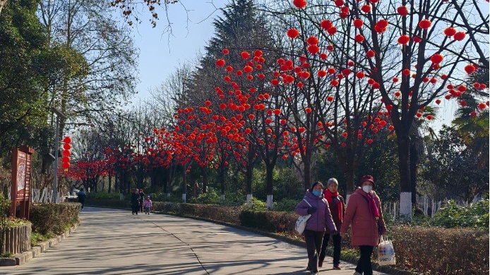 春節(jié)將至 寶雞植物園張燈結(jié)彩迎新年