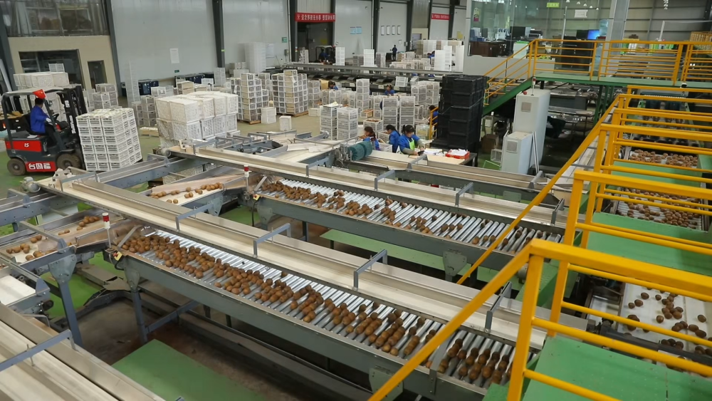 1741829188110679.png 105012025031200009948.png