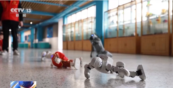 1742782232743051.jpg 1742782073836.jpg