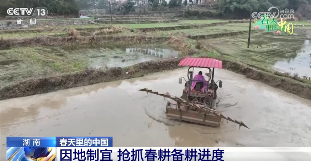 1742782898256164.png image.png