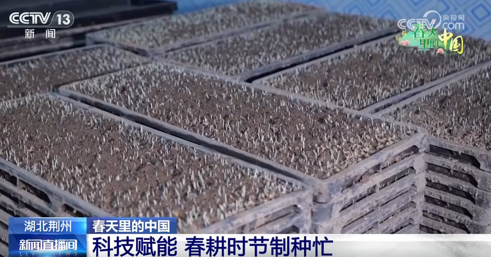 1742782949597245.png image.png