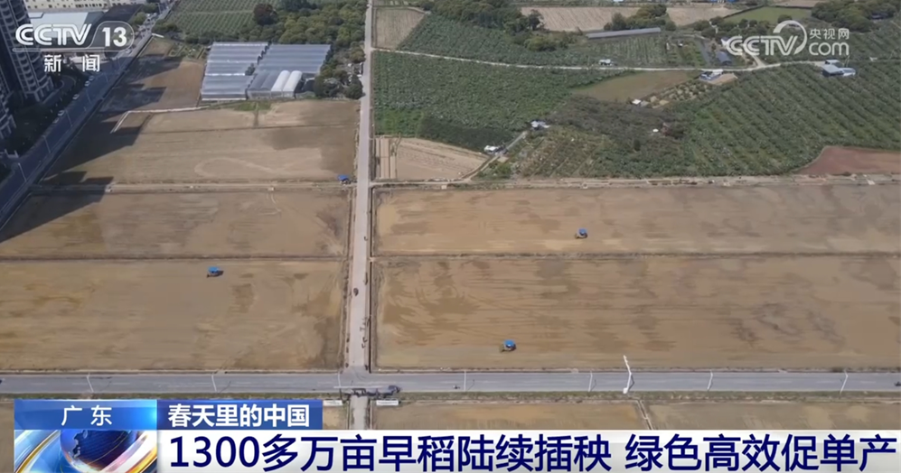 1742782982339313.png image.png