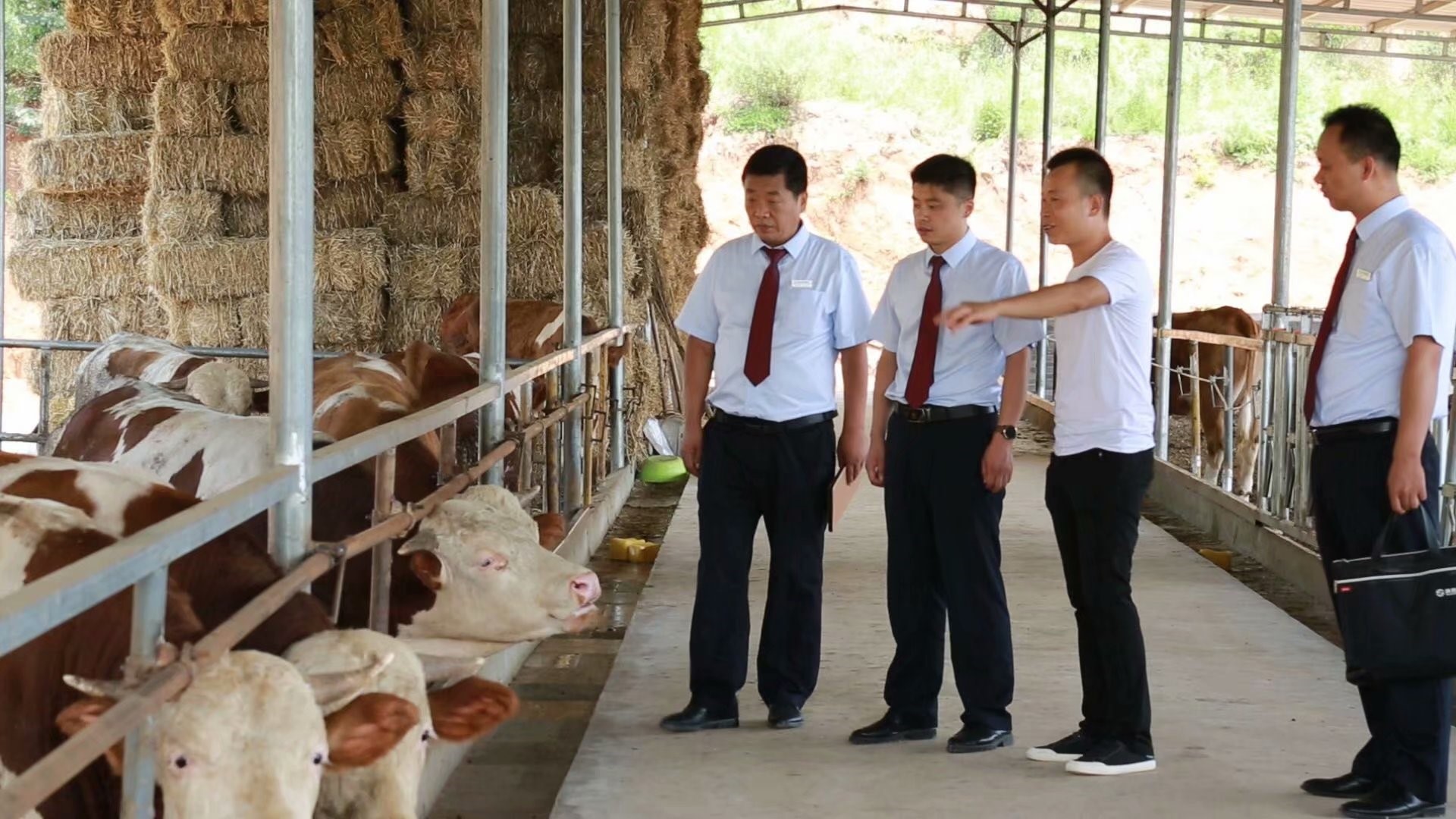 1742895071708934.jpg 李軍鋼 事跡照4.png.jpg