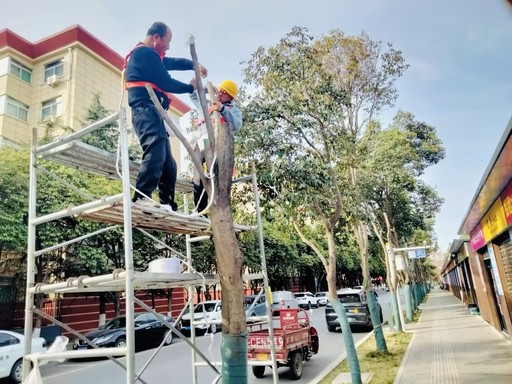 1743066011185669.jpg 8902-20250327-9bab58fc42e84ef28c205e63a3d96a9b.jpg