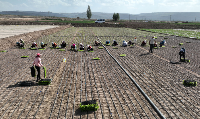 1743125136848102.png image.png