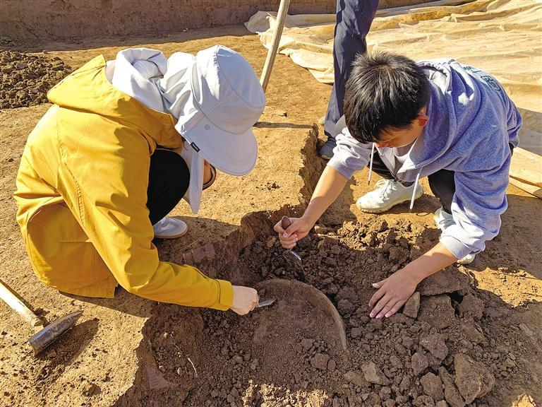 1743130724380823.png 3.png