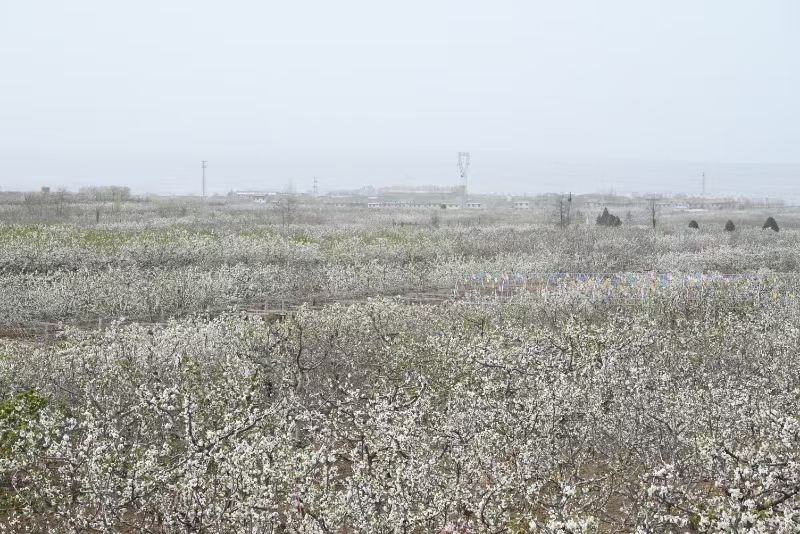 1743586632823301.jpg 微信圖片_20250402172654.jpg