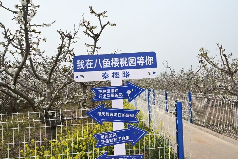 1743586641164728.jpg 微信圖片_20250402172703.jpg