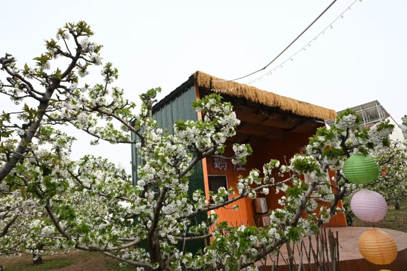 1743586663739622.jpg 微信圖片_20250402172707.jpg