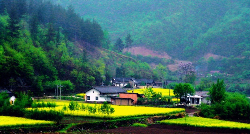 1744351727755929.jpg 2a10e574c9ab4cf784d869c86be56173.jpg