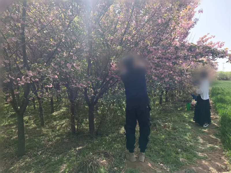 1745288826744320.jpg 微信圖片_20250422100151_副本.jpg