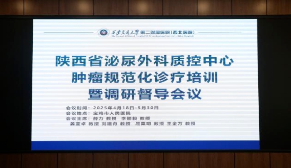 1745305161194370.png 11.png