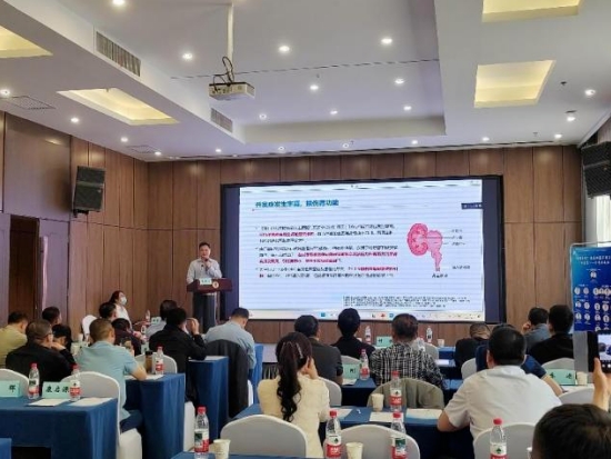 1745305184314601.png 33.png