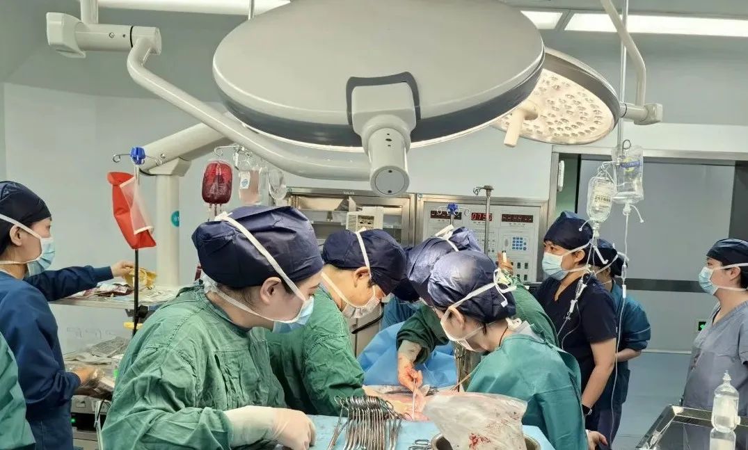 1745315015291106.jpg efda9e920a2386695d324ad2fc558126.jpg