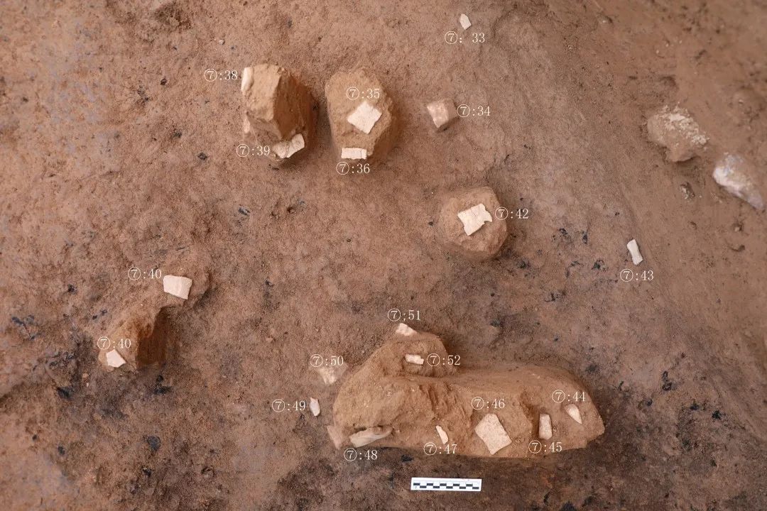 甲骨出土情況（南→北）。陜西省文物局供圖