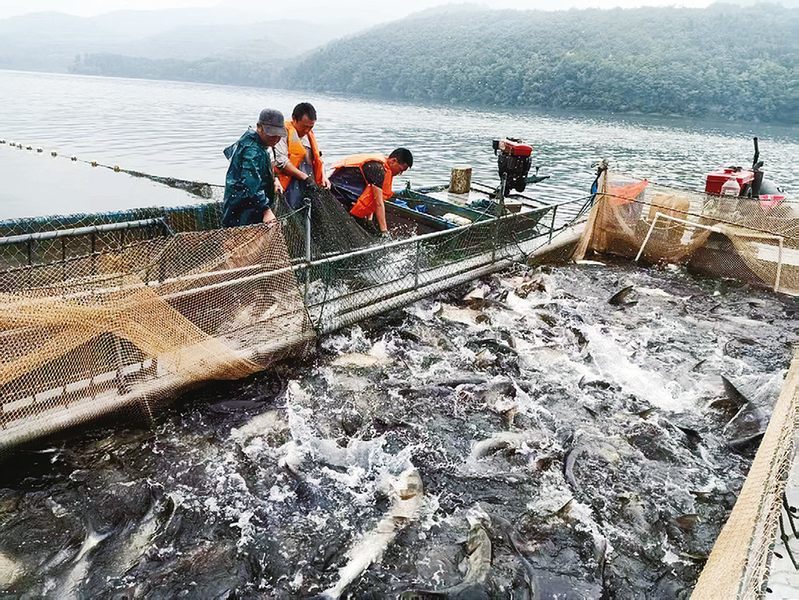 1746607498490863.png 9ea3a7ade816a14e98cd7aa8b5487450_img_144_417_270_202.png