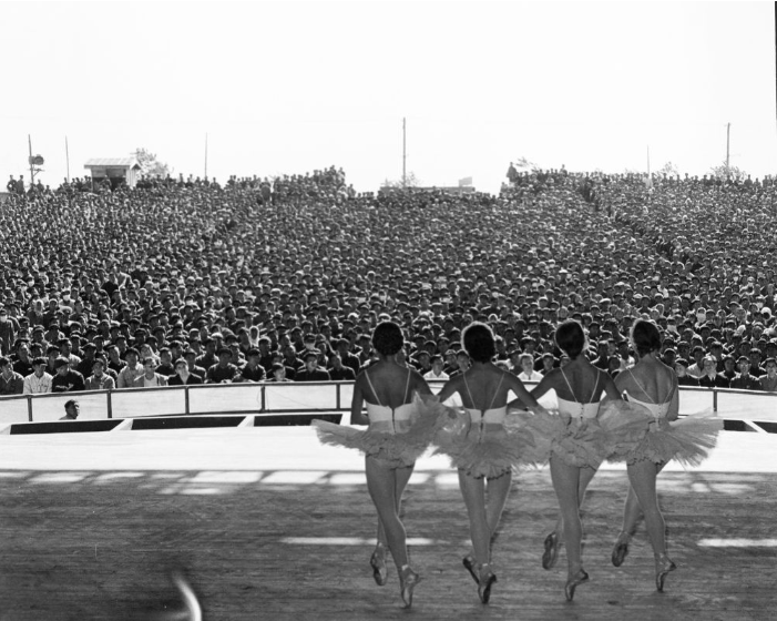 1746691277862903.png 1746691245946.png