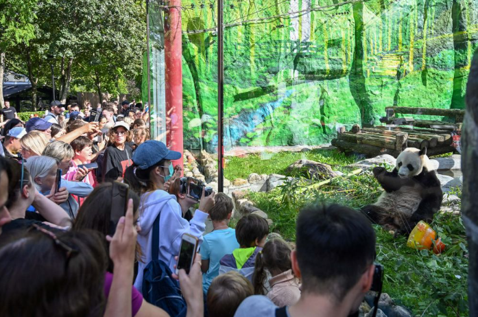 1746691531389660.png 1746691500212.png