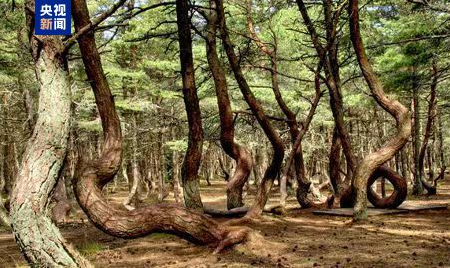 1746762426940554.png 1746762416056.png