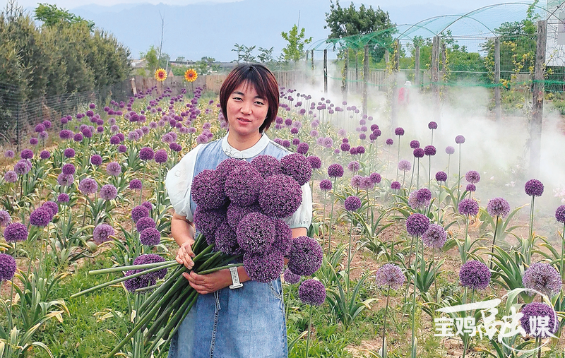 1748938172870864.png 9ea3a7ade816a14e98cd7aa8b5487450_img_0_662_369_234.png