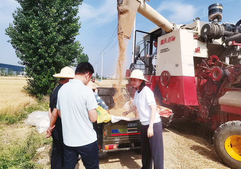 1749001013942088.png bc4707ce094b4e49ff3bd8618b6988b3_img_230_947_350_247.png