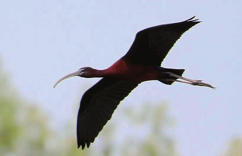 1749096589217794.png 9ea3a7ade816a14e98cd7aa8b5487450_img_599_499_265_170.png