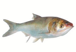 1749176994187165.png 9ea3a7ade816a14e98cd7aa8b5487450_img_291_437_155_106.png