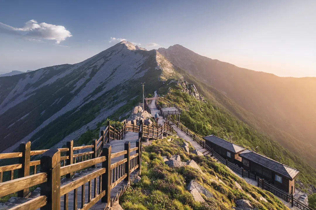 1749458615193351.jpg 1749458612670.jpg