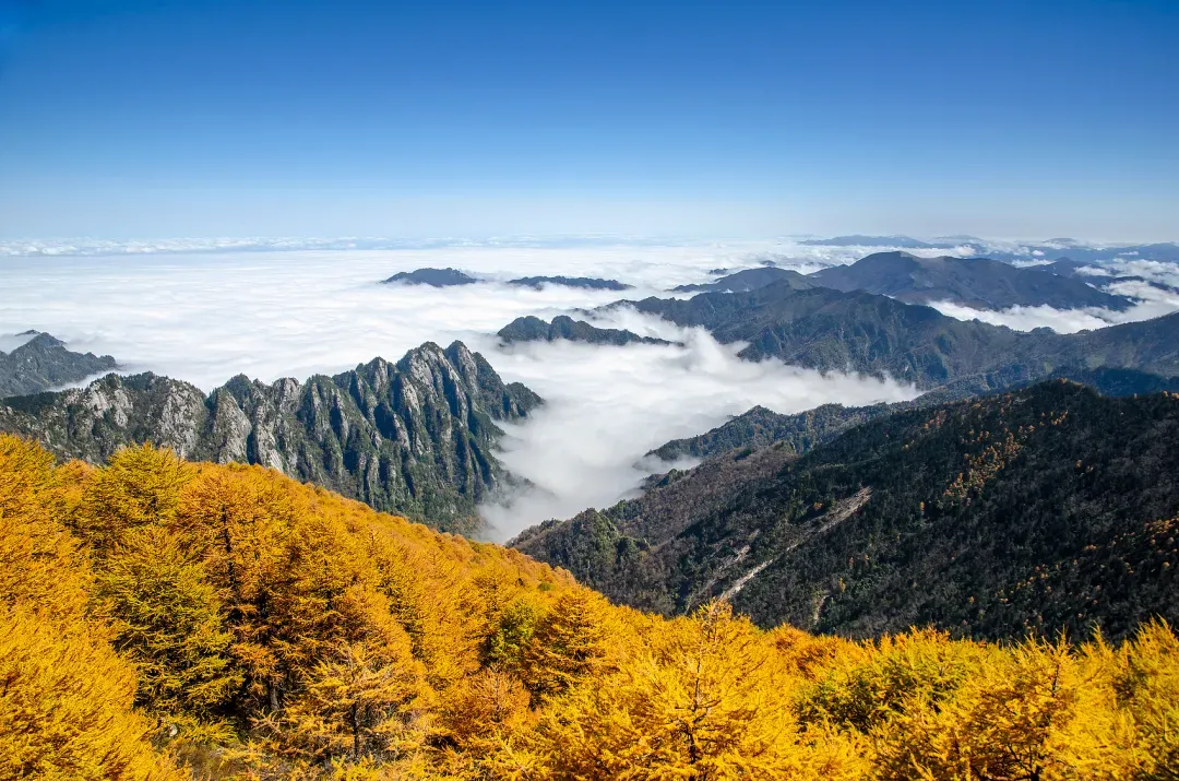 1749458624740549.jpg 1749458621441.jpg