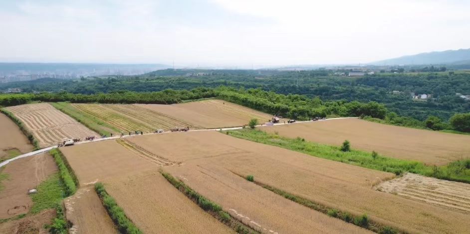 1749690251189119.jpg 1.jpg