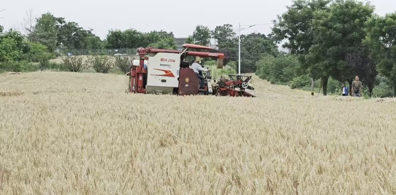 1749690260187201.jpg 2.jpg