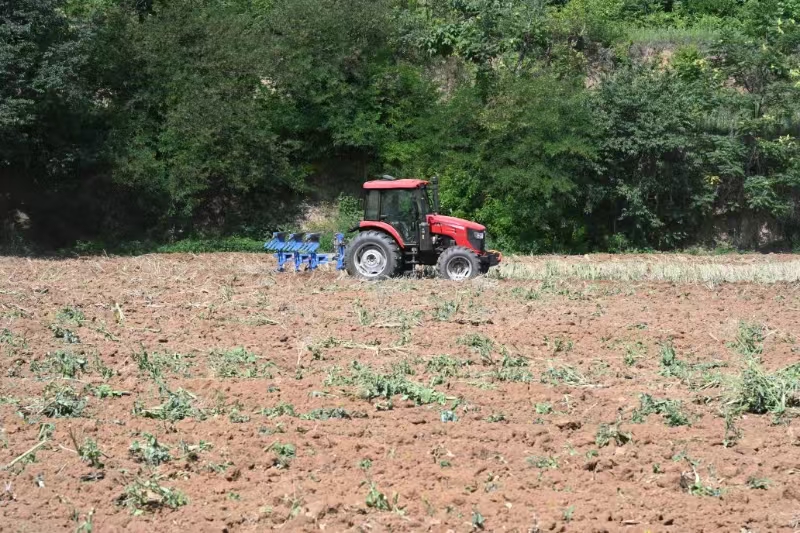 1749690268120037.jpg 3.jpg