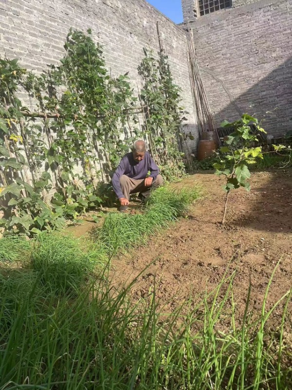 1749691586323720.jpg 851adf10ea3146cf95b7742c82639ddb.jpg