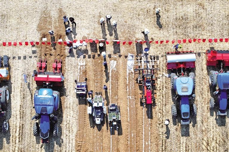 1749775452240705.jpg 1749775446619.jpg