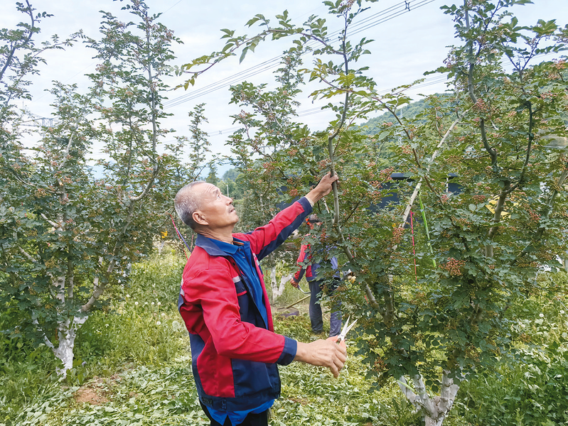 1750033710199072.jpg 1750033645782.jpg