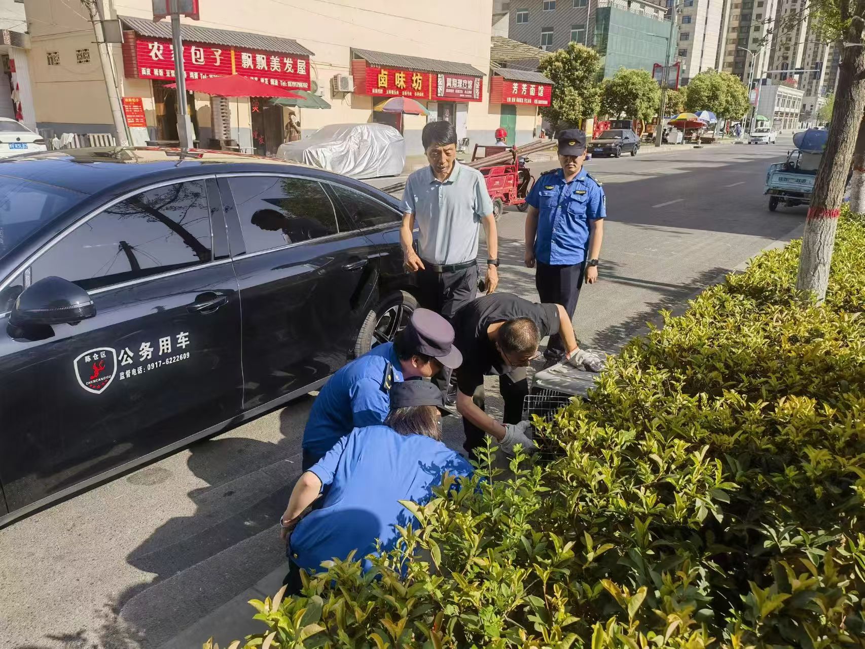 1750321629193134.jpg a9c727c397544ed0a603159daaab6dbf_B_BASIC.jpg