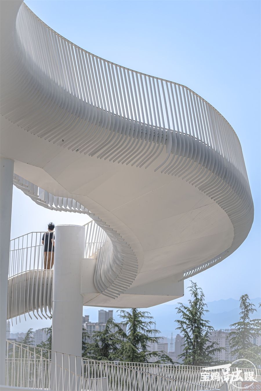 1750322166423518.jpg c0aa18b065a94efda6c6c402d629ec3d.jpg