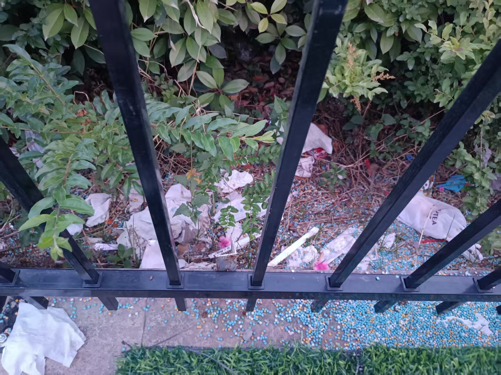 1750667430130547.jpg 1750667430130547.jpg